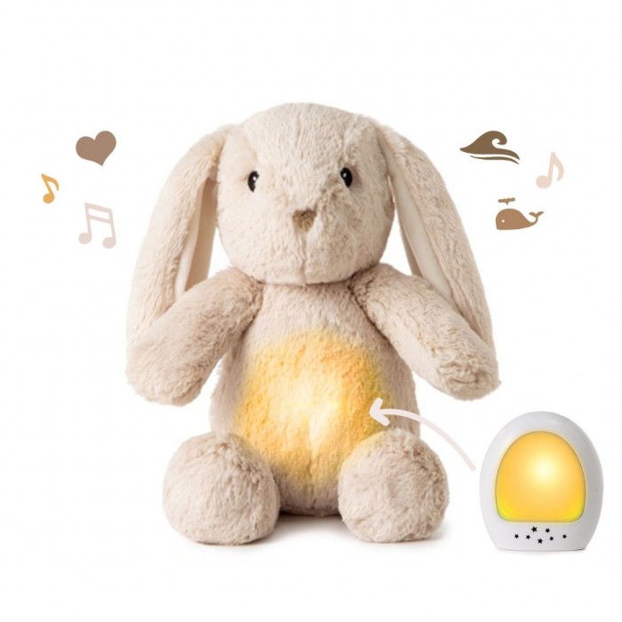 Jucarie de plus cu sunete si functie de inregistrare - Billy Bunny - Cloud b