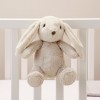 Jucarie de plus cu sunete si functie de inregistrare - Billy Bunny - Cloud b
