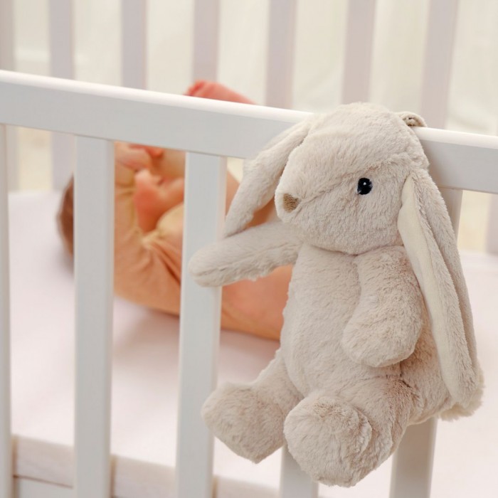 Jucarie de plus cu sunete si functie de inregistrare - Billy Bunny - Cloud b