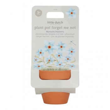Ghiveci cu floare de Nu-ma-uita - Little Dutch