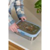 Caserola pentru pranz din otel inoxidabil Bento - Forest Friends - Little Dutch
