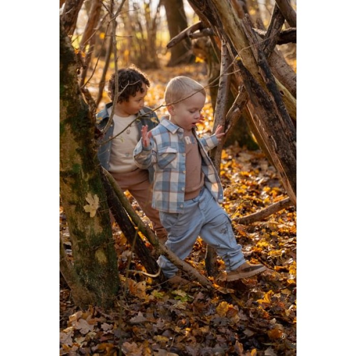 Camasa cu maneca lunga - Stone Blue Check - Forest Friends - Little Dutch