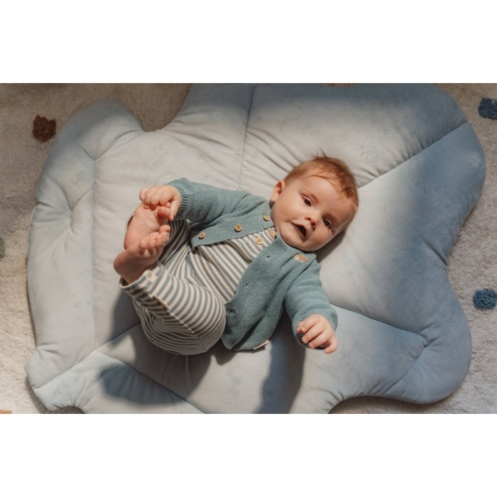 Pantaloni din bumbac organic - Blue Stripe - Forest Friends - Little Dutch