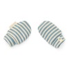 Manusi din bumbac organic pentru bebelusi - Blue Stripe - Forest Friends - Little Dutch