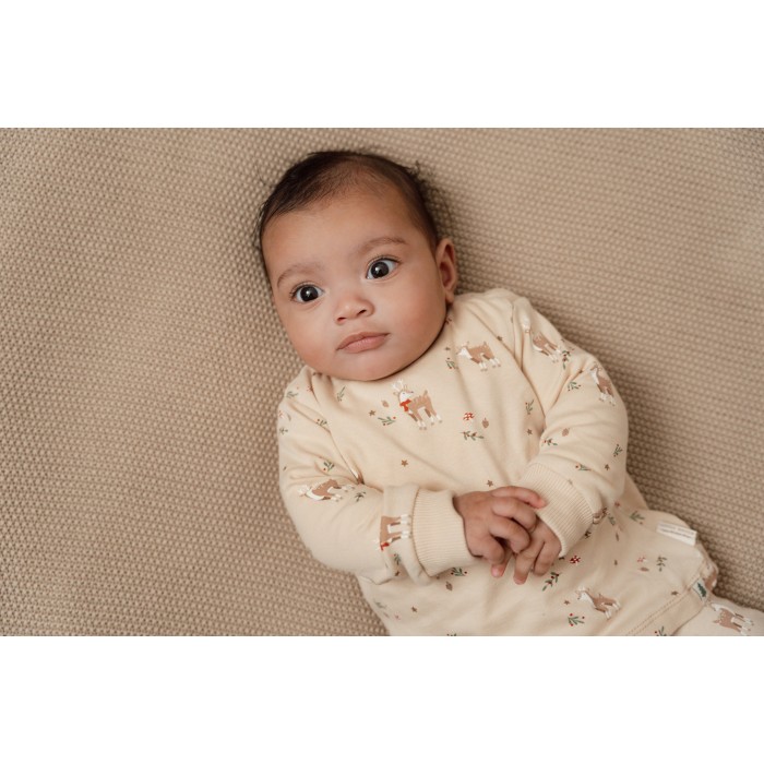 Pijama cu maneca lunga din bumbac organic pentru copii - CHRISTMAS - Little Dutch