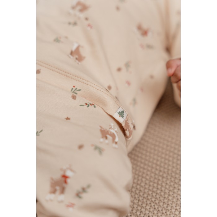 Pijama cu maneca lunga din bumbac organic pentru copii - CHRISTMAS - Little Dutch