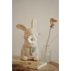 Lampa de veghe - Iepuras - Little Dutch