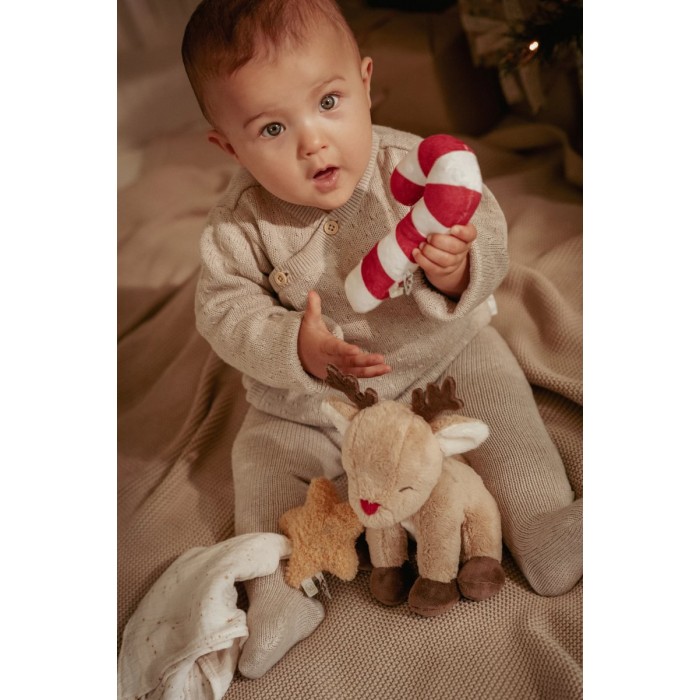 Cutie cadou pentru bebelusi - Editie speciala de Craciun - Little Dutch