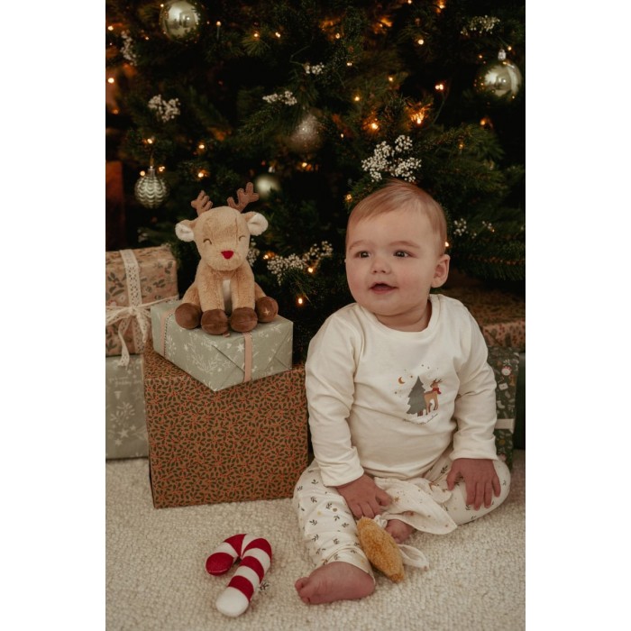 Cutie cadou pentru bebelusi - Editie speciala de Craciun - Little Dutch