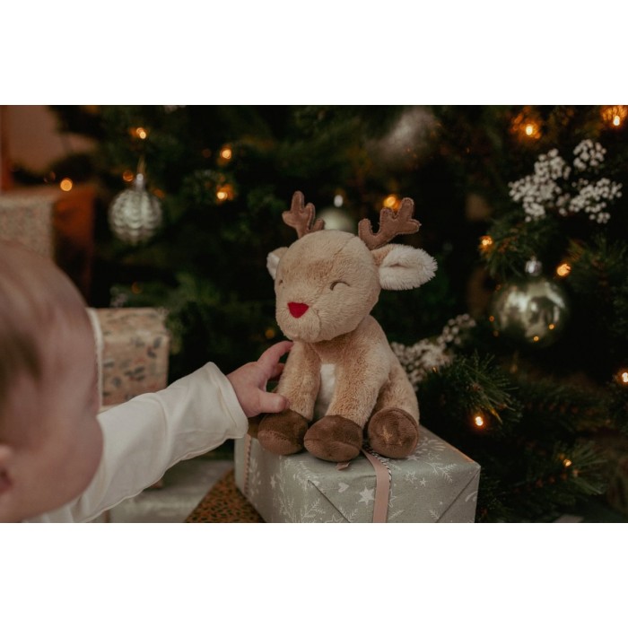 Cutie cadou pentru bebelusi - Editie speciala de Craciun - Little Dutch