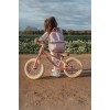 Bicicleta de echilibru fara pedale - Roz - Little Dutch