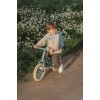 Bicicleta de echilibru fara pedale - Albastru - Little Dutch