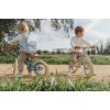 Bicicleta de echilibru fara pedale - Albastru - Little Dutch
