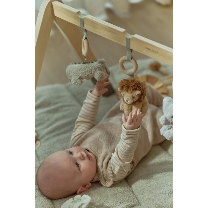 Centru de activitati pentru bebelusi - Baby Gym - Safari Friends - Little Dutch