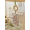 Centru de activitati pentru bebelusi - Baby Gym - Safari Friends - Little Dutch