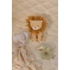 Cutie cadou pentru bebelusi - Safari Friends - Little Dutch