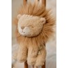 Jucarie muzicala - Leu - Safari Friends - Little Dutch