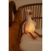 Jucarie din plus cu sunete albe si lumina de veghe - Goose - Newborn Naturals - Little Dutch