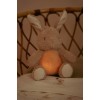 Jucarie din plus cu sunete albe si lumina de veche - Bunny -  Newborn Naturals - Little Dutch