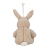 Jucarie din plus cu sunete albe si lumina de veche - Bunny -  Newborn Naturals - Little Dutch