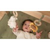 Centru de activitati pentru bebelusi - Baby Gym - colectia Little Farm - Little Dutch