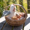 Jucarie din plus - Gaina - 17 cm - Little Farm - Little Dutch