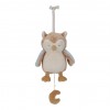 Jucarie muzicala - Bufnita - Forest Friends - Little Dutch