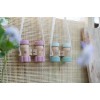 Binoclu - Fairy Garden - Little Dutch