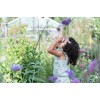 Binoclu - Fairy Garden - Little Dutch