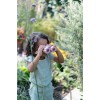 Binoclu - Fairy Garden - Little Dutch