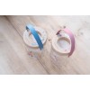 Borcan pentru insecte - Fairy Garden - Little Dutch