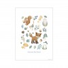 Poster A3 - Forest Wonders - Little Dutch