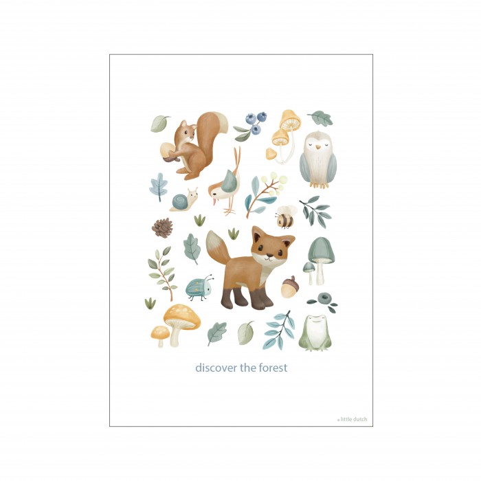 Poster A3 - Forest Wonders - Little Dutch