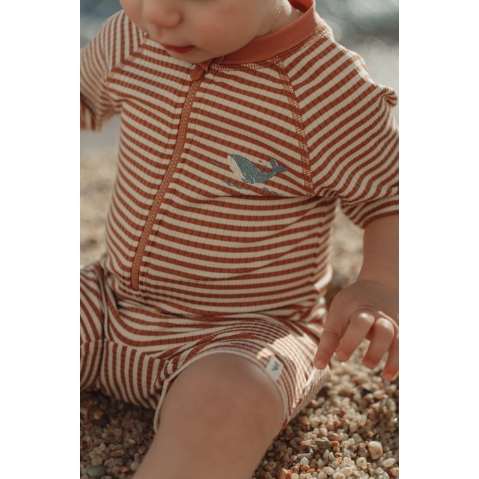 https://www.catenlunasinstele.ro/image/catalog/_PRODUSE/Little Dutch/SS26/costum-de-baie-intreg-cu-maneca-scurta-ocean-brown-stripes-CL26030201-1.jpg