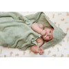 Prosop cu gluga din bumbac organic pentru bebelusi - 75 x 75 cm - Green Crocodil - Little Dutch