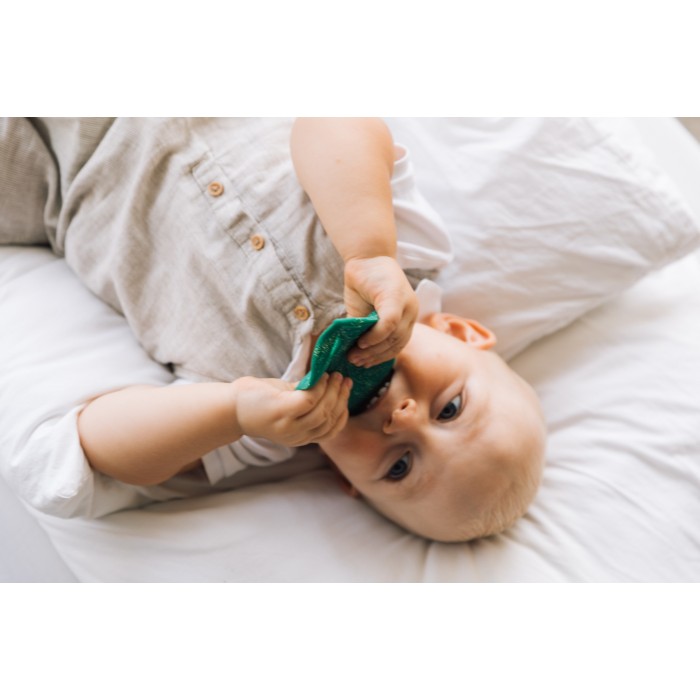 Jucarie de dentitie din cauciuc natural - Chlorophyll Leaf - Oli & Carol Jucarie de dentitie din cauciuc natural - Chlorophyll Leaf - Oli & Carol