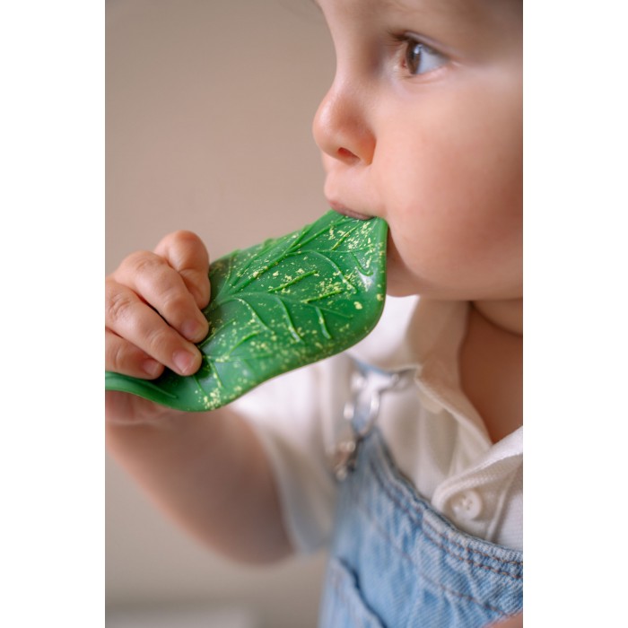 Jucarie de dentitie din cauciuc natural - Chlorophyll Leaf - Oli & Carol Jucarie de dentitie din cauciuc natural - Chlorophyll Leaf - Oli & Carol