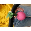 Protectie pentru suzeta - Ramona the Radish - Oli & Carol